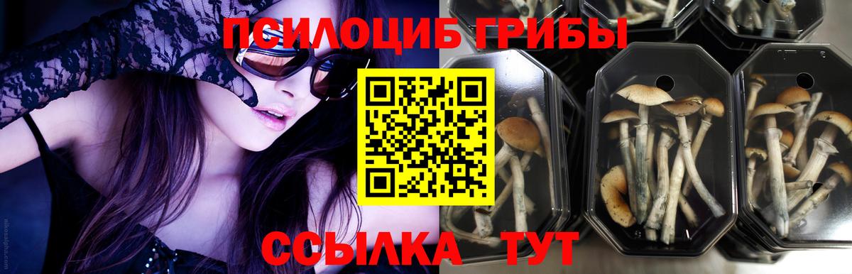 Галлюциногенные грибы GOLDEN TEACHER Горячий Ключ